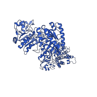 10551_6tqh_B_v1-0
Escherichia coli AdhE structure in its extended conformation