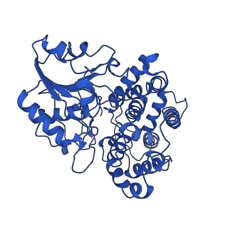 10551_6tqh_C_v1-0
Escherichia coli AdhE structure in its extended conformation