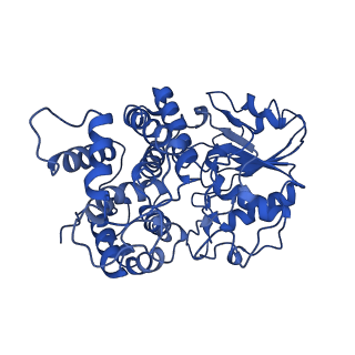 10551_6tqh_F_v1-0
Escherichia coli AdhE structure in its extended conformation