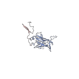 10553_6tqk_A_v1-4
Cryo-EM of native human uromodulin (UMOD)/Tamm-Horsfall protein (THP) filament.