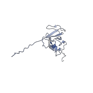 10553_6tqk_B_v1-4
Cryo-EM of native human uromodulin (UMOD)/Tamm-Horsfall protein (THP) filament.