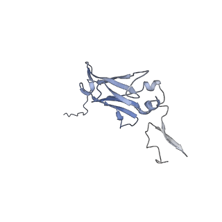 10553_6tqk_C_v1-4
Cryo-EM of native human uromodulin (UMOD)/Tamm-Horsfall protein (THP) filament.