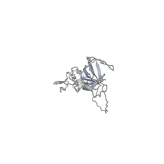 10554_6tql_A_v1-3
Cryo-EM of elastase-treated human uromodulin (UMOD)/Tamm-Horsfall protein (THP) filament