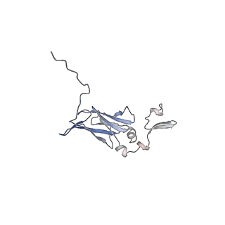 10554_6tql_C_v1-3
Cryo-EM of elastase-treated human uromodulin (UMOD)/Tamm-Horsfall protein (THP) filament