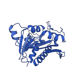 26066_7tqd_A_v1-3
Structure of Enterobacter cloacae Cap2-CdnD02 2:1 complex
