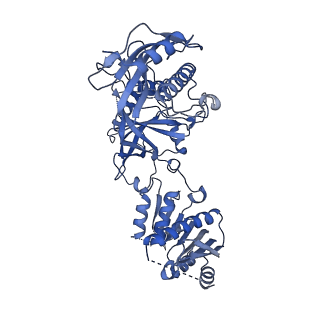 26066_7tqd_B_v1-3
Structure of Enterobacter cloacae Cap2-CdnD02 2:1 complex
