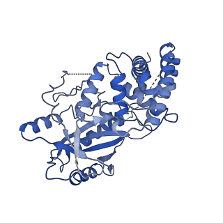 26066_7tqd_C_v1-3
Structure of Enterobacter cloacae Cap2-CdnD02 2:1 complex