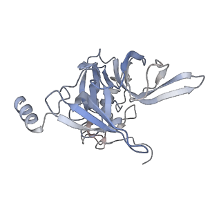 26067_7tql_E_v1-3
CryoEM structure of the human 40S small ribosomal subunit in complex with translation initiation factors eIF1A and eIF5B.