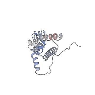 26067_7tql_J_v1-3
CryoEM structure of the human 40S small ribosomal subunit in complex with translation initiation factors eIF1A and eIF5B.