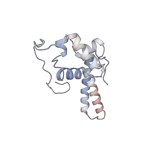 26067_7tql_N_v1-3
CryoEM structure of the human 40S small ribosomal subunit in complex with translation initiation factors eIF1A and eIF5B.