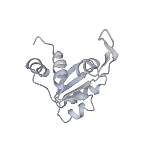 26067_7tql_O_v1-3
CryoEM structure of the human 40S small ribosomal subunit in complex with translation initiation factors eIF1A and eIF5B.