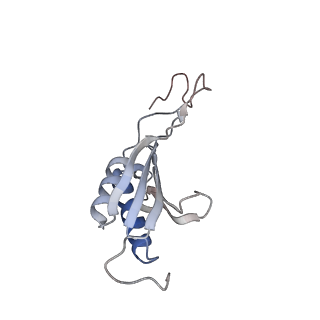 26067_7tql_P_v1-3
CryoEM structure of the human 40S small ribosomal subunit in complex with translation initiation factors eIF1A and eIF5B.