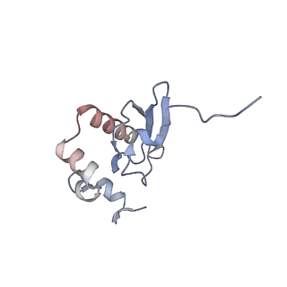 26067_7tql_Q_v1-3
CryoEM structure of the human 40S small ribosomal subunit in complex with translation initiation factors eIF1A and eIF5B.