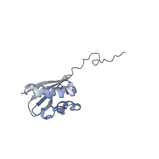 26067_7tql_R_v1-3
CryoEM structure of the human 40S small ribosomal subunit in complex with translation initiation factors eIF1A and eIF5B.