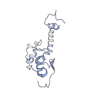 26067_7tql_T_v1-3
CryoEM structure of the human 40S small ribosomal subunit in complex with translation initiation factors eIF1A and eIF5B.