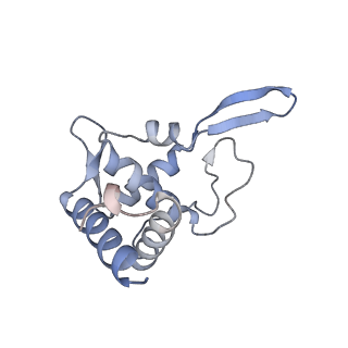 26067_7tql_U_v1-3
CryoEM structure of the human 40S small ribosomal subunit in complex with translation initiation factors eIF1A and eIF5B.