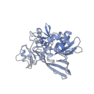 26073_7tqv_A_v1-1
SARS-CoV-2 endoribonuclease Nsp15 bound to dsRNA