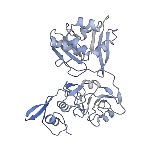 26073_7tqv_C_v1-1
SARS-CoV-2 endoribonuclease Nsp15 bound to dsRNA