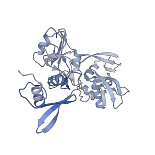 26073_7tqv_D_v1-1
SARS-CoV-2 endoribonuclease Nsp15 bound to dsRNA