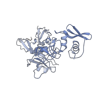 26073_7tqv_E_v1-1
SARS-CoV-2 endoribonuclease Nsp15 bound to dsRNA