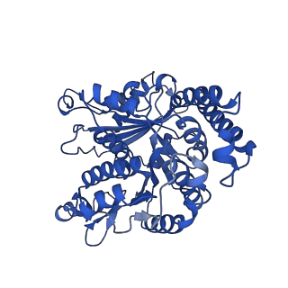 26074_7tqx_A_v1-2
CaKip3[2-482] - AMP-PNP in complex with a microtubule