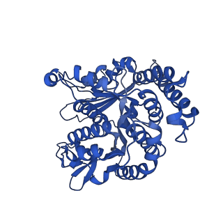 26074_7tqx_B_v1-2
CaKip3[2-482] - AMP-PNP in complex with a microtubule