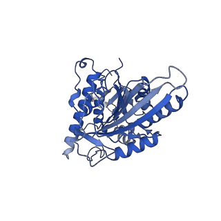 26074_7tqx_K_v1-2
CaKip3[2-482] - AMP-PNP in complex with a microtubule