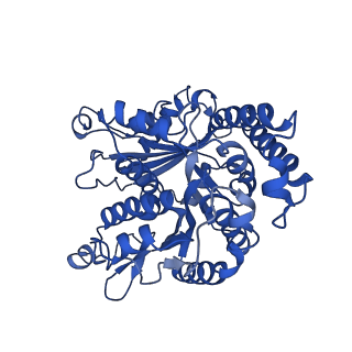 26076_7tqz_A_v1-2
Apo CaKip3[2-482] in complex with a microtubule