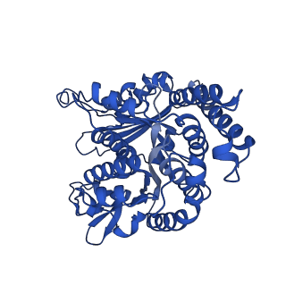 26076_7tqz_B_v1-2
Apo CaKip3[2-482] in complex with a microtubule