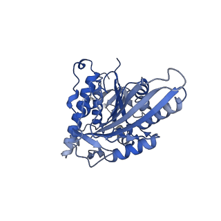 26076_7tqz_K_v1-2
Apo CaKip3[2-482] in complex with a microtubule