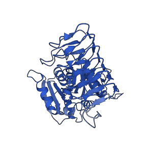41510_8tqo_A_v1-0
Eukaryotic translation initiation factor 2B tetramer