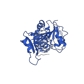41510_8tqo_I_v1-0
Eukaryotic translation initiation factor 2B tetramer