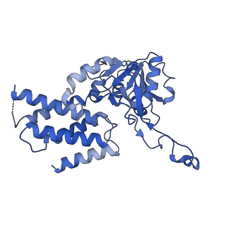 41566_8tqz_D_v1-0
Eukaryotic translation initiation factor 2B with a mutation (L516A) in the delta subunit