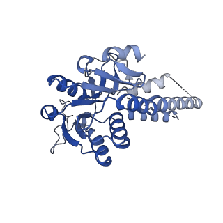 41566_8tqz_E_v1-0
Eukaryotic translation initiation factor 2B with a mutation (L516A) in the delta subunit