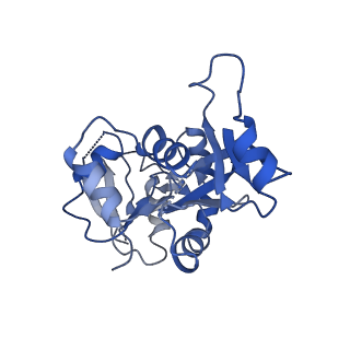 41566_8tqz_J_v1-0
Eukaryotic translation initiation factor 2B with a mutation (L516A) in the delta subunit