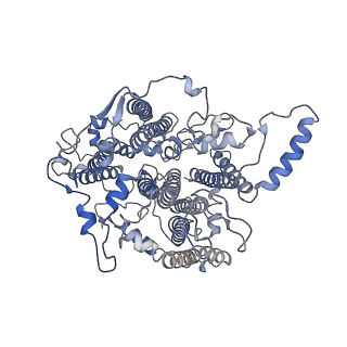 10557_6tra_A_v1-0
Cryo- EM structure of the Thermosynechococcus elongatus photosystem I in the presence of cytochrome c6
