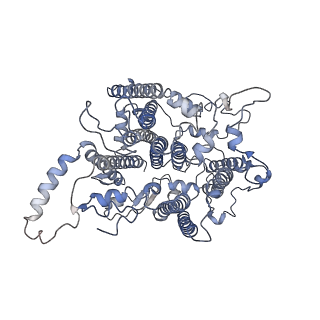 10557_6tra_B_v1-0
Cryo- EM structure of the Thermosynechococcus elongatus photosystem I in the presence of cytochrome c6