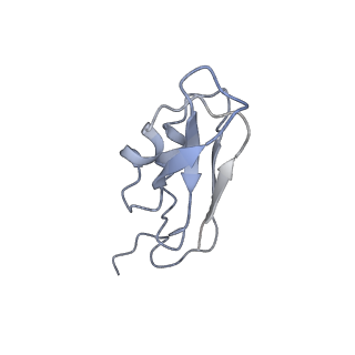 10557_6tra_C_v1-0
Cryo- EM structure of the Thermosynechococcus elongatus photosystem I in the presence of cytochrome c6