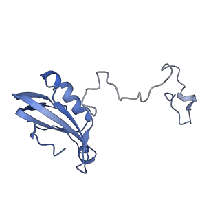 10557_6tra_D_v1-0
Cryo- EM structure of the Thermosynechococcus elongatus photosystem I in the presence of cytochrome c6