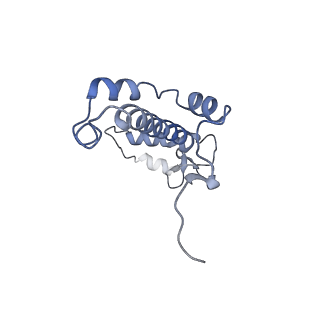 10557_6tra_F_v1-0
Cryo- EM structure of the Thermosynechococcus elongatus photosystem I in the presence of cytochrome c6