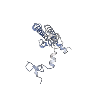 10558_6trc_0_v1-0
Cryo- EM structure of the Thermosynechococcus elongatus photosystem I in the presence of cytochrome c6