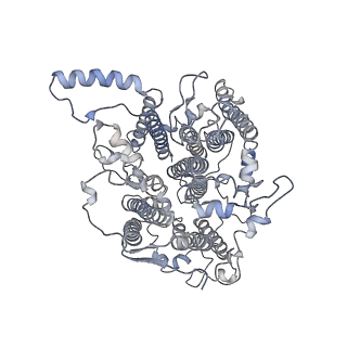 10558_6trc_1_v1-0
Cryo- EM structure of the Thermosynechococcus elongatus photosystem I in the presence of cytochrome c6