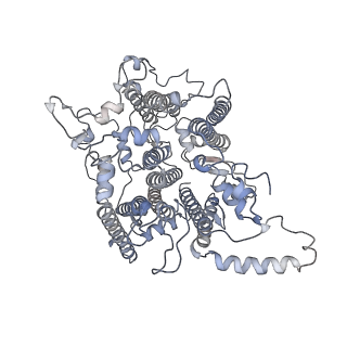 10558_6trc_2_v1-0
Cryo- EM structure of the Thermosynechococcus elongatus photosystem I in the presence of cytochrome c6