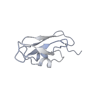 10558_6trc_3_v1-0
Cryo- EM structure of the Thermosynechococcus elongatus photosystem I in the presence of cytochrome c6