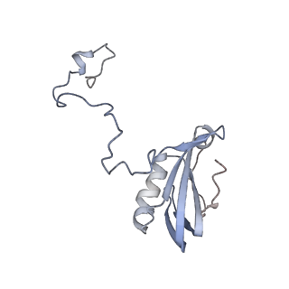 10558_6trc_4_v1-0
Cryo- EM structure of the Thermosynechococcus elongatus photosystem I in the presence of cytochrome c6