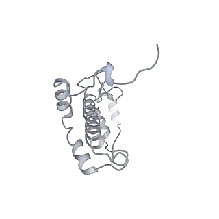10558_6trc_6_v1-0
Cryo- EM structure of the Thermosynechococcus elongatus photosystem I in the presence of cytochrome c6