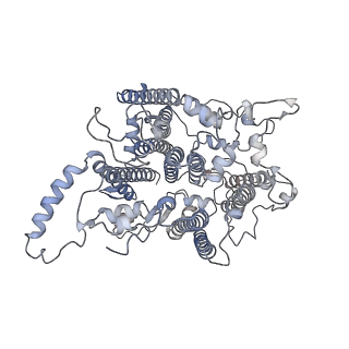 10558_6trc_B_v1-0
Cryo- EM structure of the Thermosynechococcus elongatus photosystem I in the presence of cytochrome c6