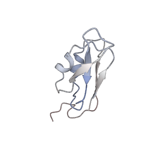10558_6trc_C_v1-0
Cryo- EM structure of the Thermosynechococcus elongatus photosystem I in the presence of cytochrome c6