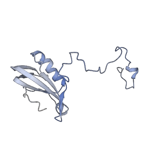 10558_6trc_D_v1-0
Cryo- EM structure of the Thermosynechococcus elongatus photosystem I in the presence of cytochrome c6