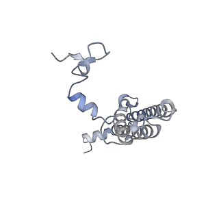 10558_6trc_L_v1-0
Cryo- EM structure of the Thermosynechococcus elongatus photosystem I in the presence of cytochrome c6